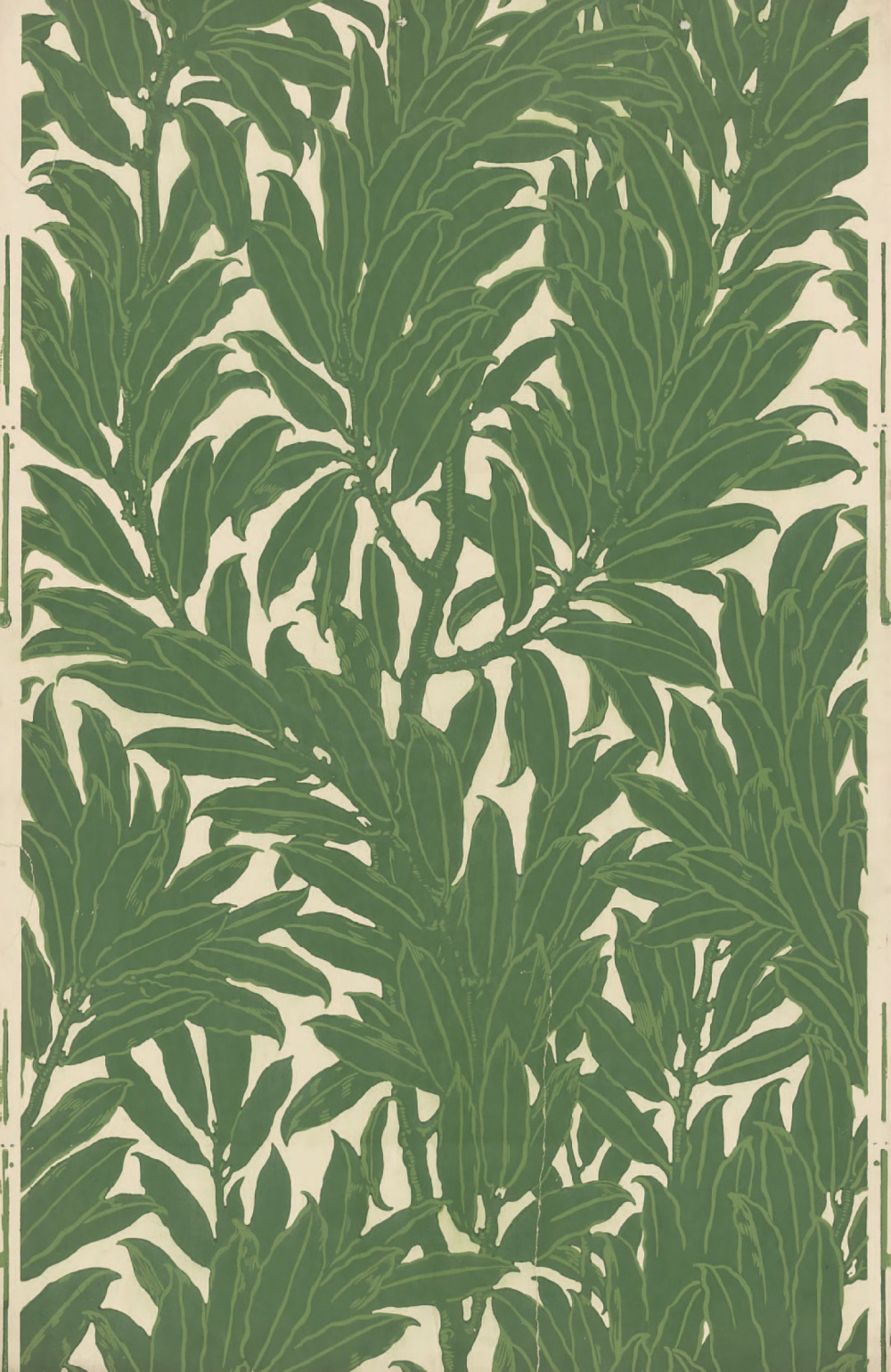 Obraz zawierający wzór, roślina

Opis wygenerowany automatycznie