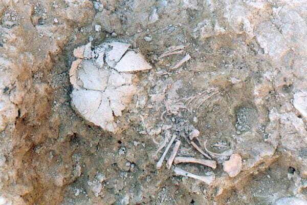 A view of human bones on the ground, in dirt at an archaeological site.